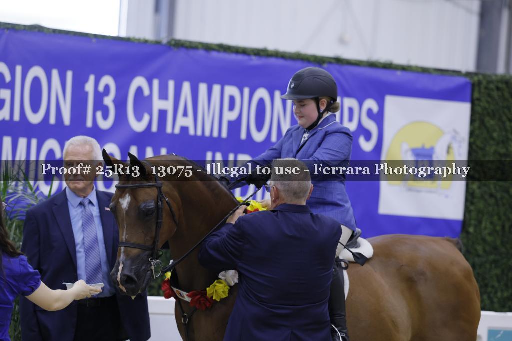 Proof 25R13_13075