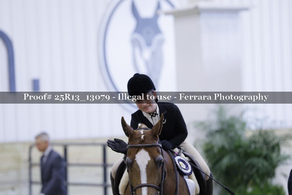 Proof 25R13_13079