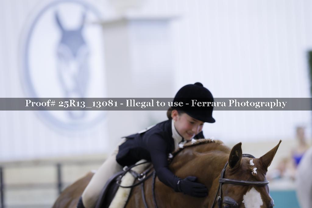 Proof 25R13_13081