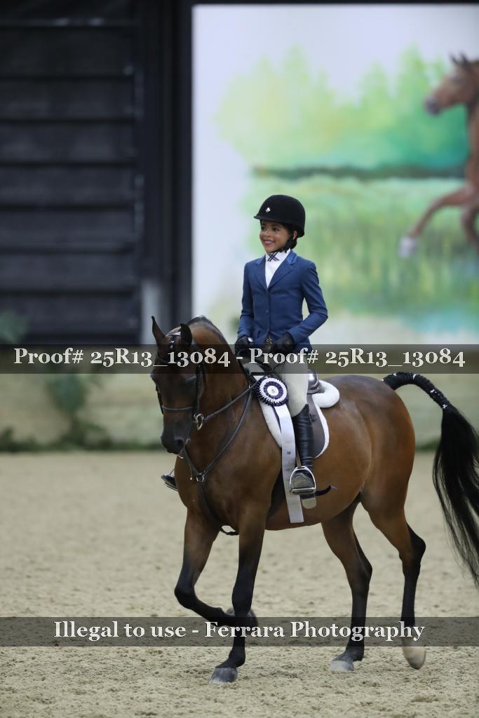 Proof 25R13_13084