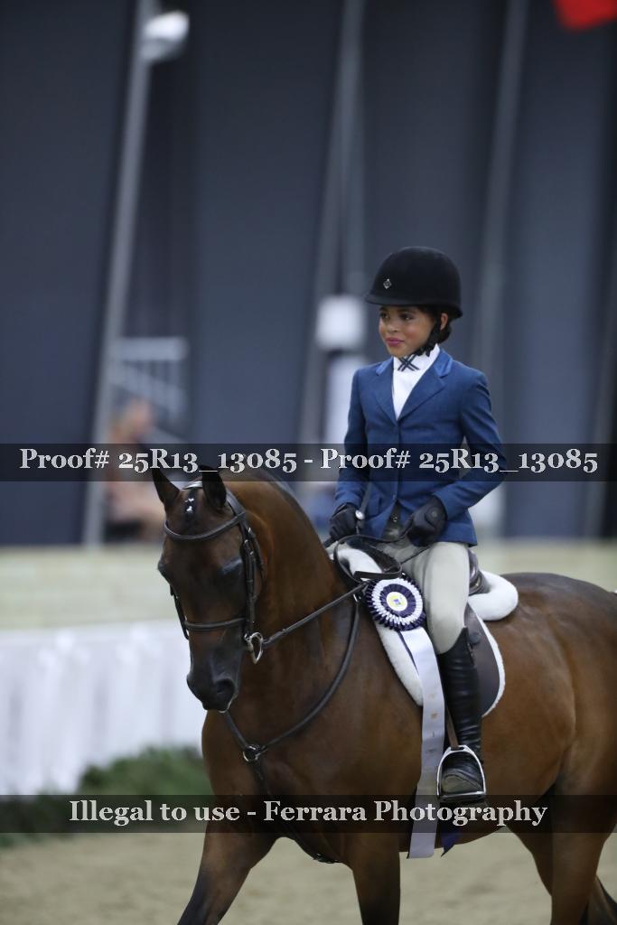 Proof 25R13_13085