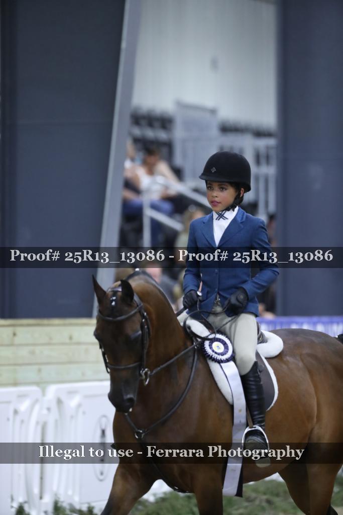 Proof 25R13_13086