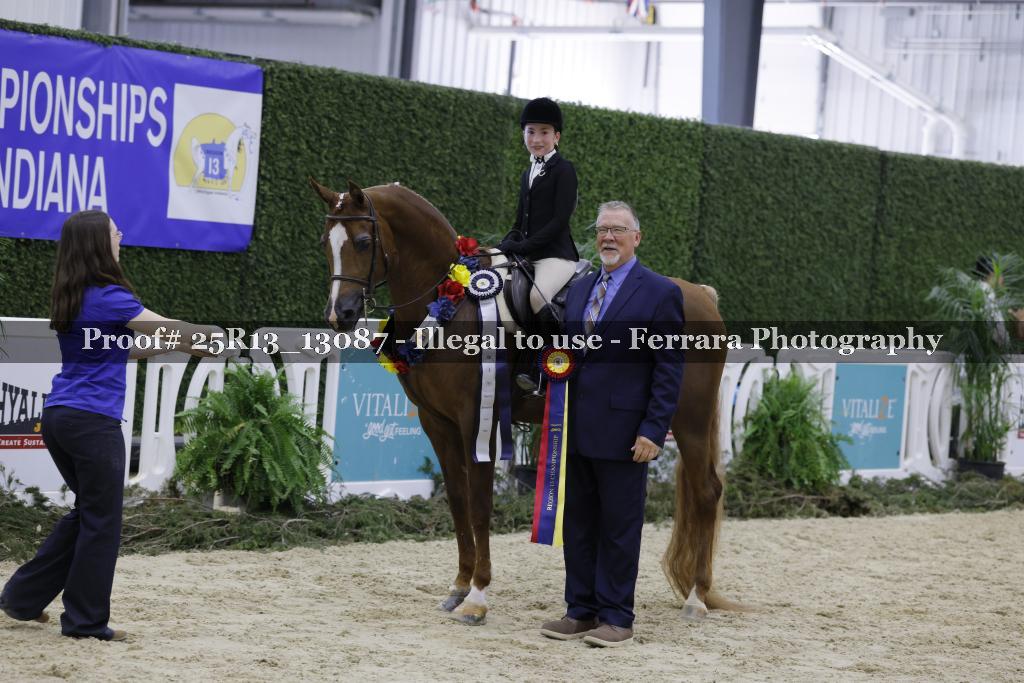 Proof 25R13_13087
