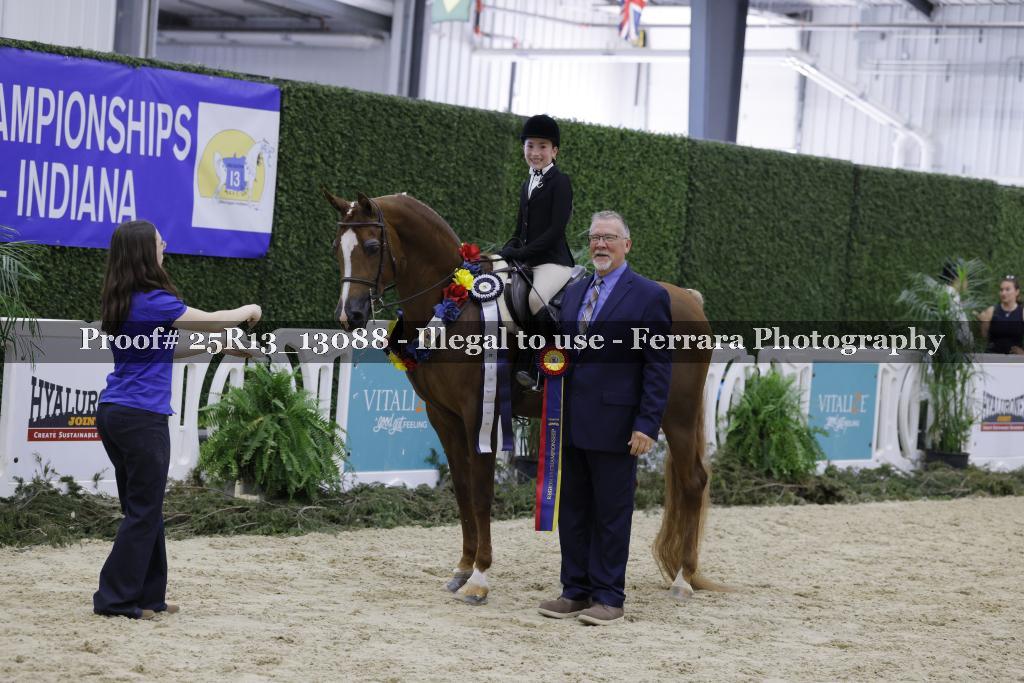 Proof 25R13_13088