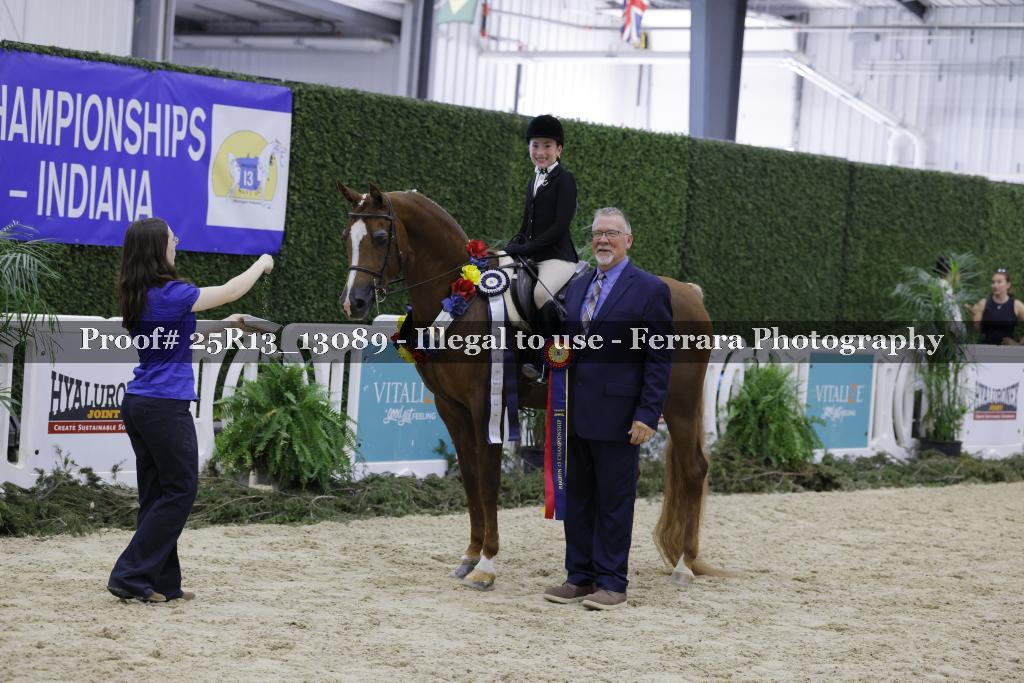 Proof 25R13_13089