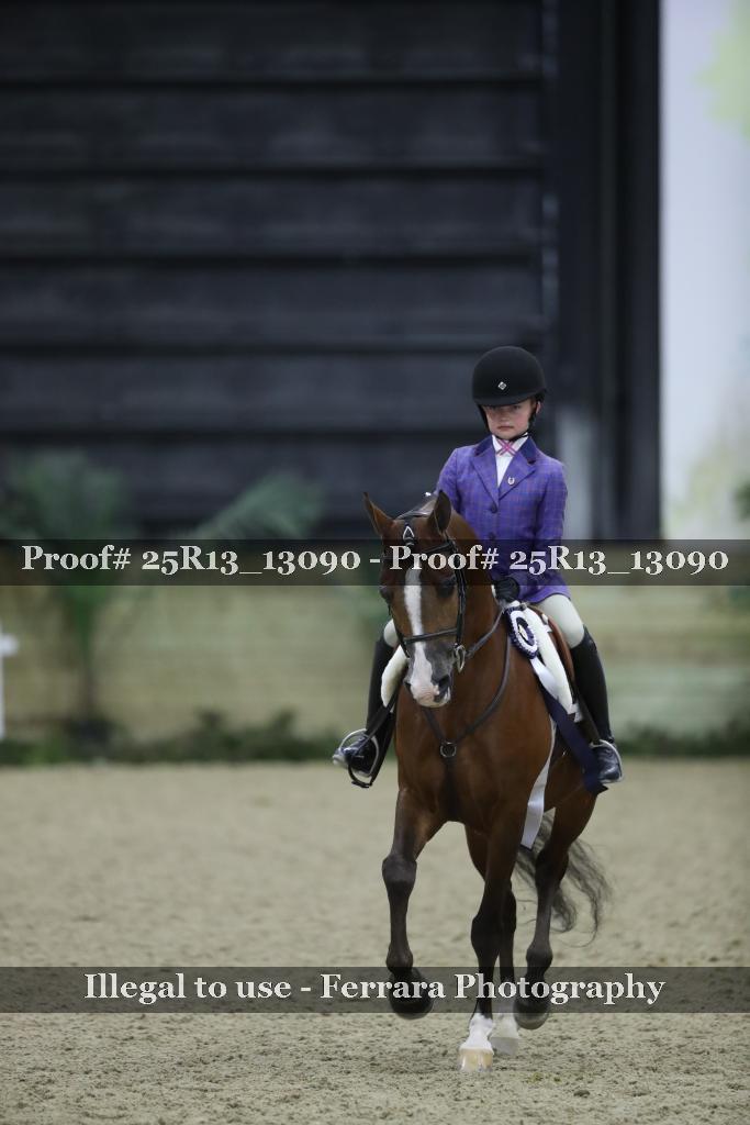 Proof 25R13_13090