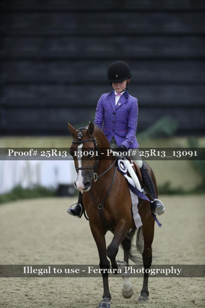 Proof 25R13_13091