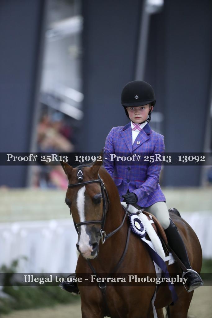 Proof 25R13_13092