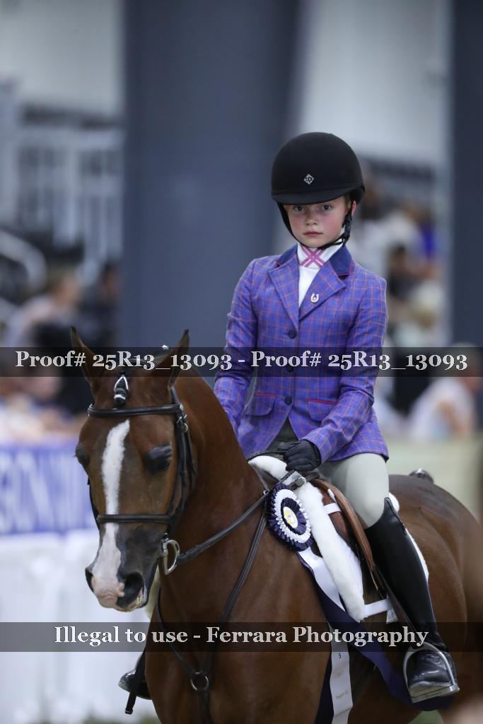 Proof 25R13_13093