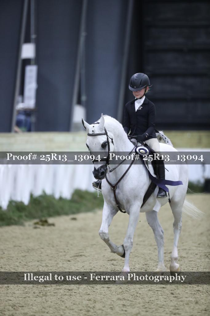 Proof 25R13_13094