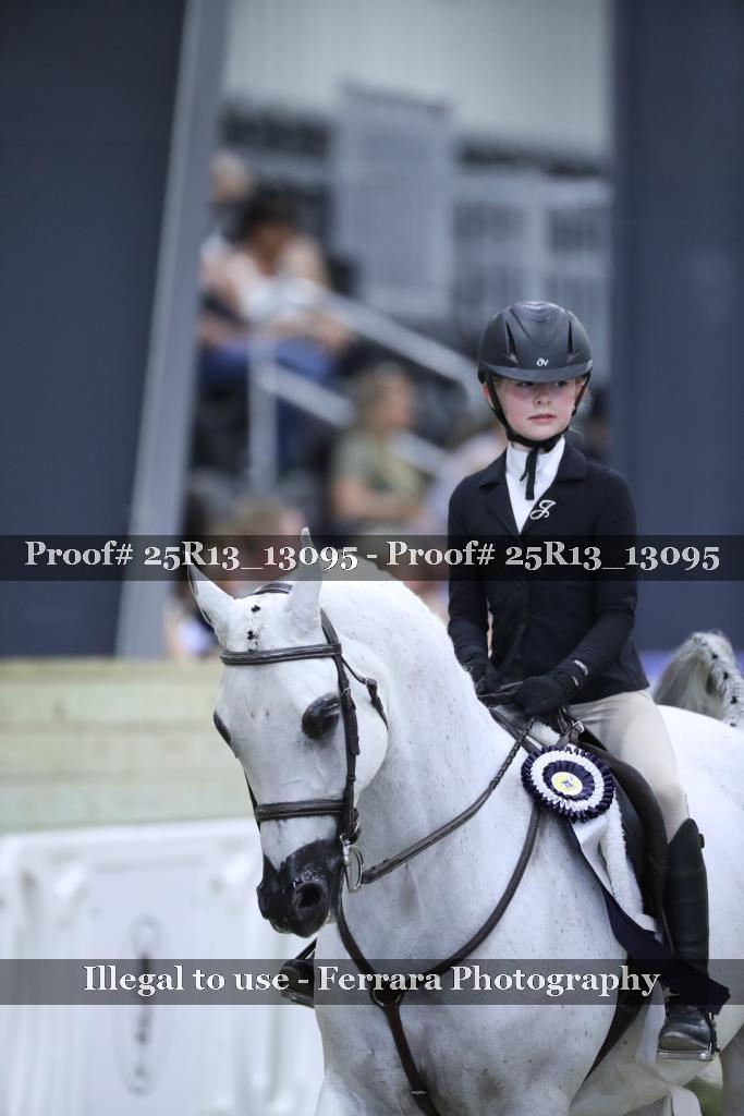 Proof 25R13_13095