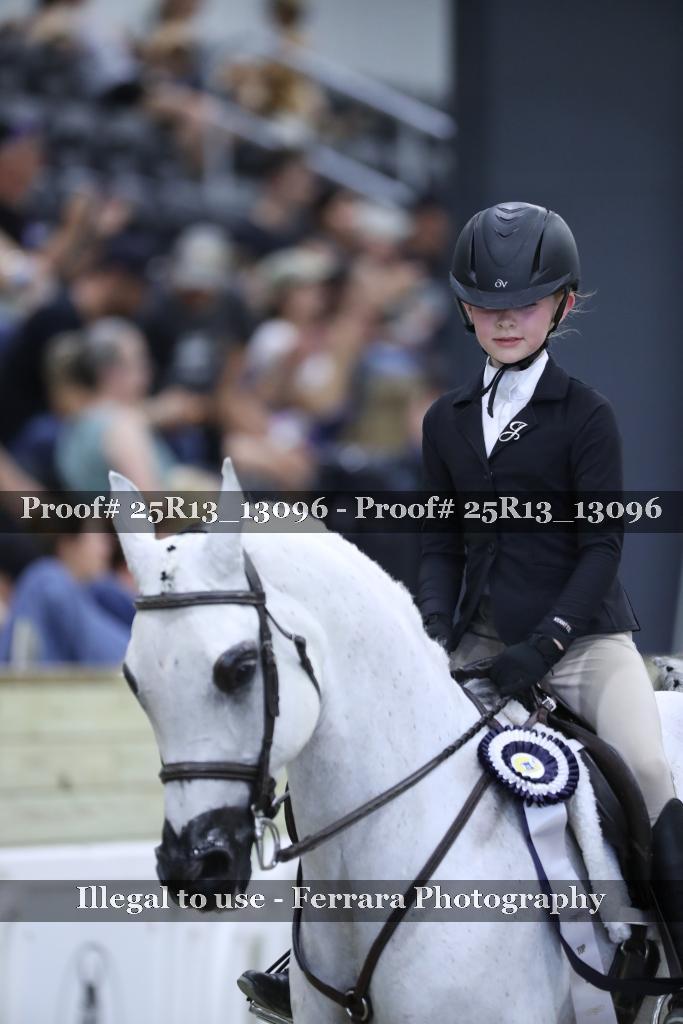 Proof 25R13_13096