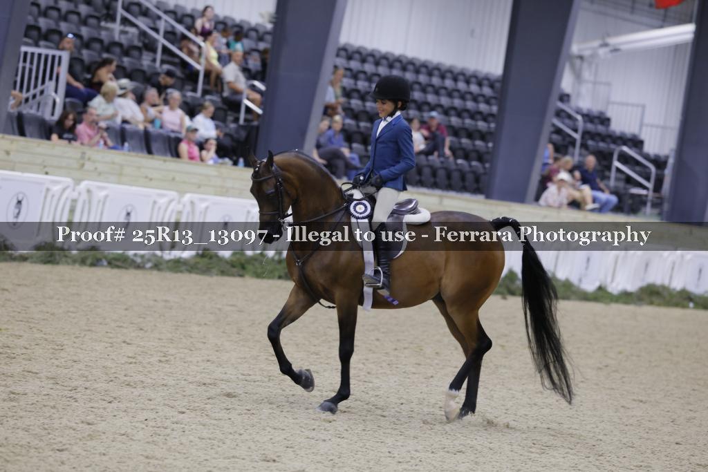 Proof 25R13_13097