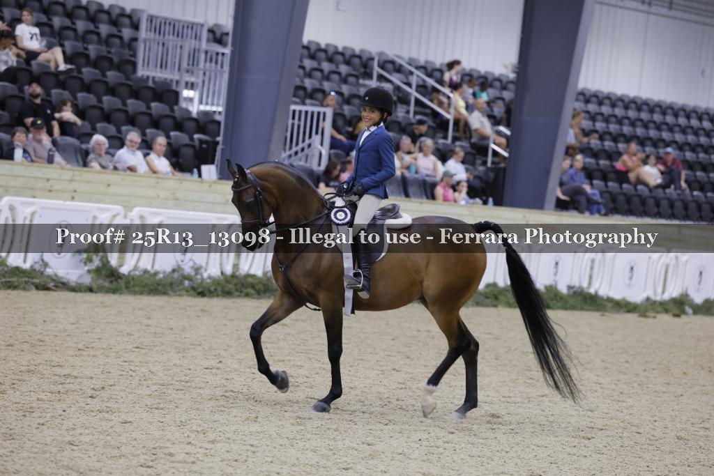 Proof 25R13_13098