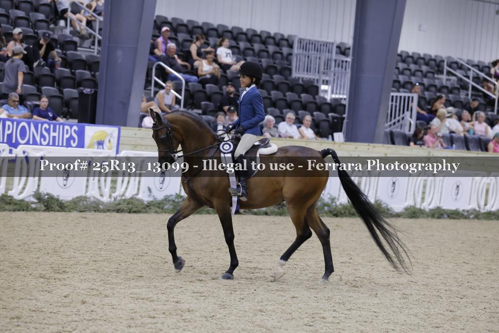 Proof 25R13_13099