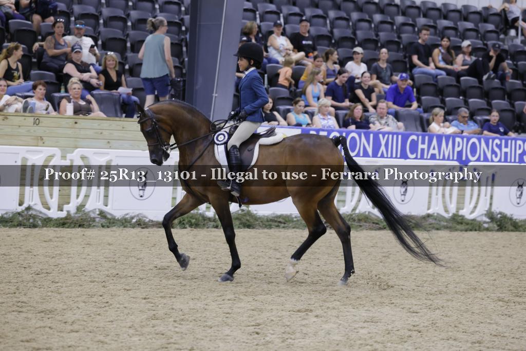 Proof 25R13_13101