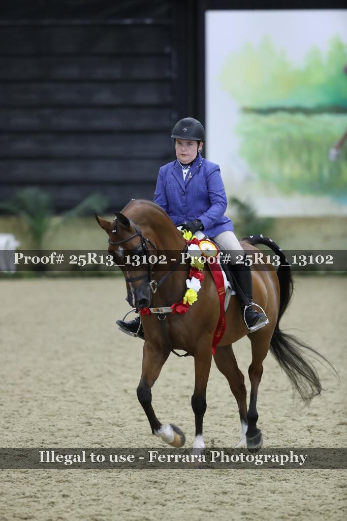 Proof 25R13_13102