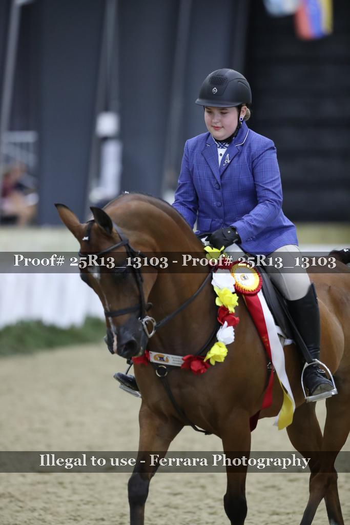 Proof 25R13_13103