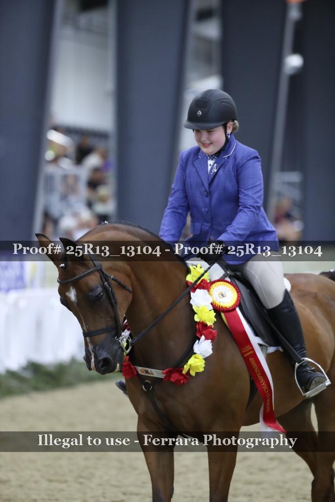 Proof 25R13_13104