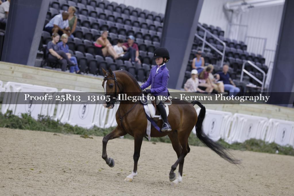 Proof 25R13_13105