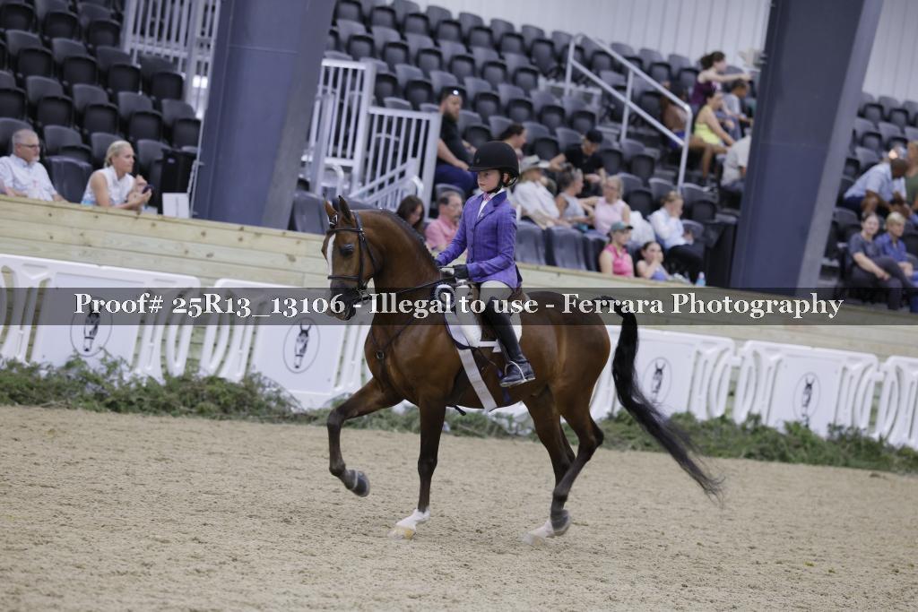 Proof 25R13_13106