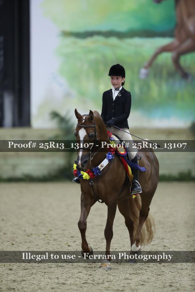 Proof 25R13_13107
