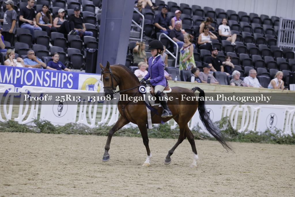 Proof 25R13_13108