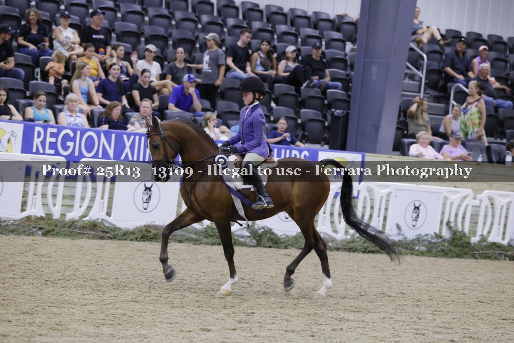 Proof 25R13_13109
