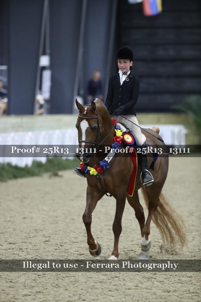 Proof 25R13_13111