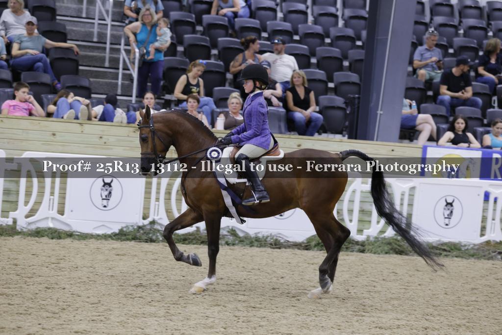Proof 25R13_13112