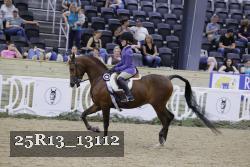 25R13_13112 proof