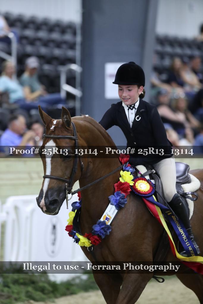 Proof 25R13_13114