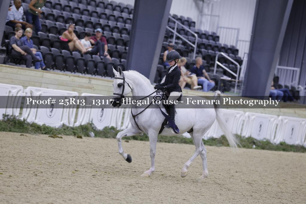 Proof 25R13_13117