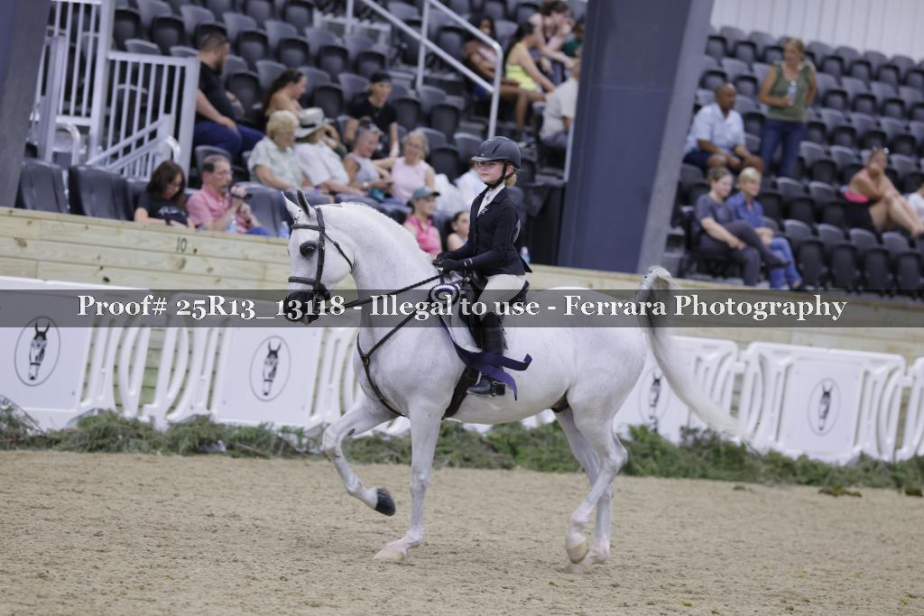 Proof 25R13_13118