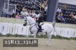 25R13_13118 proof