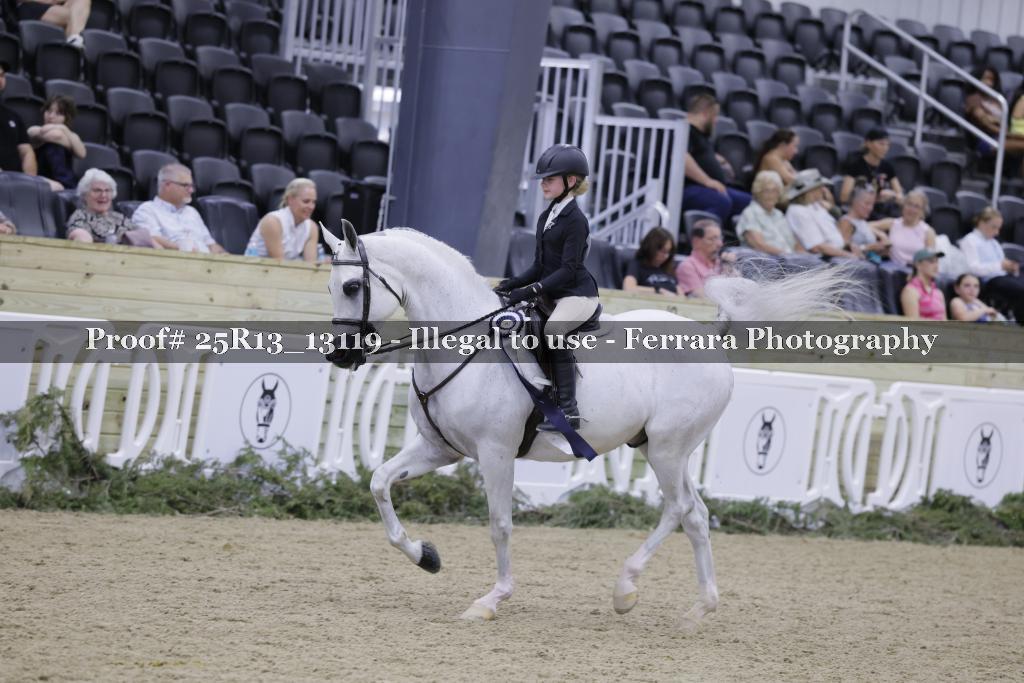 Proof 25R13_13119