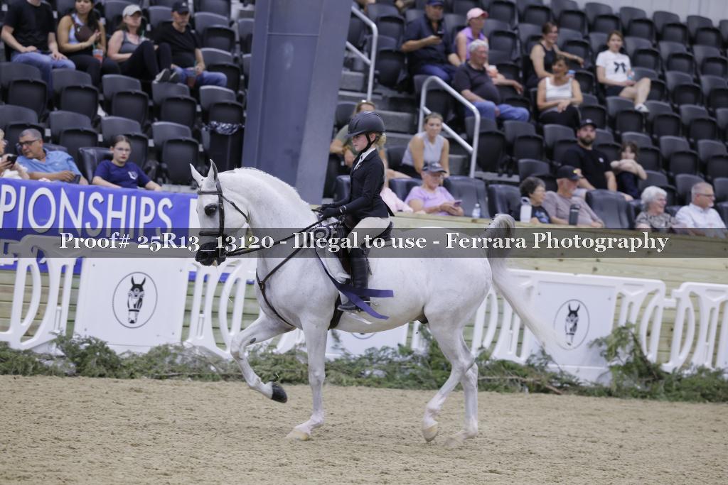 Proof 25R13_13120