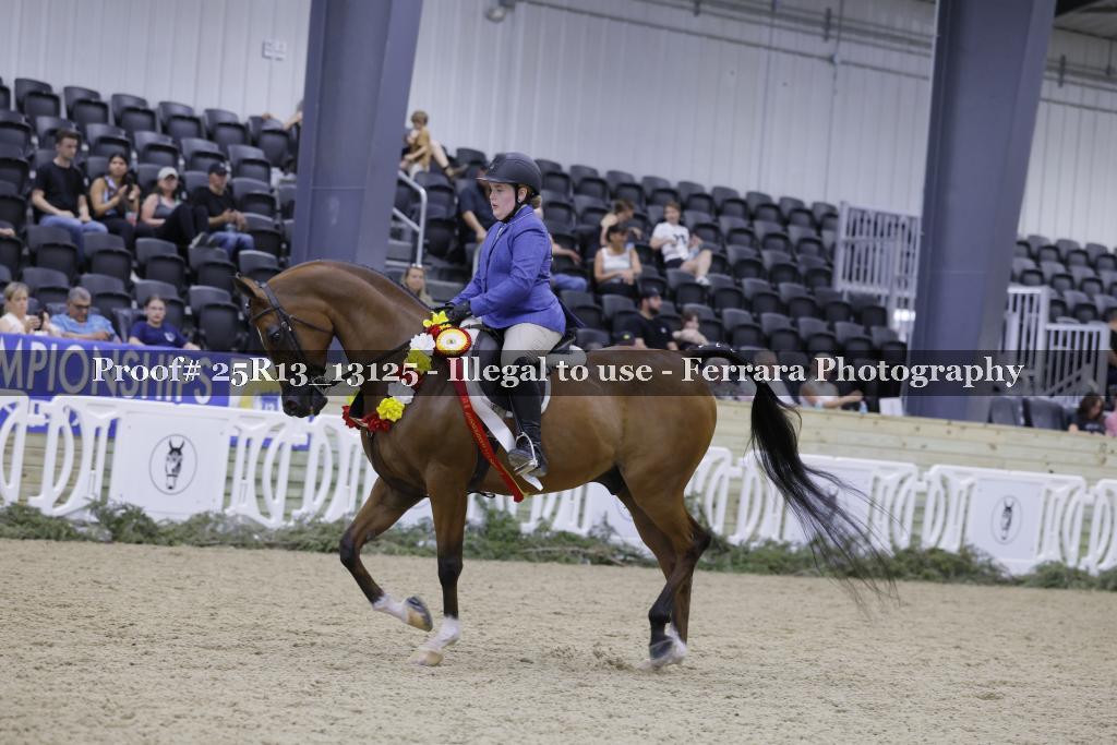 Proof 25R13_13125