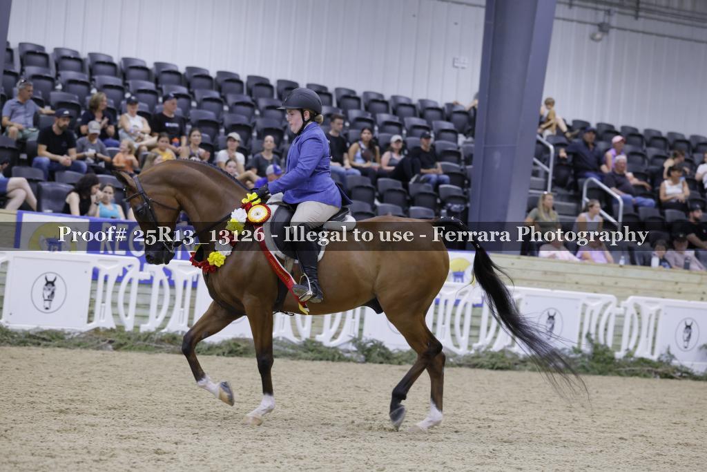 Proof 25R13_13126
