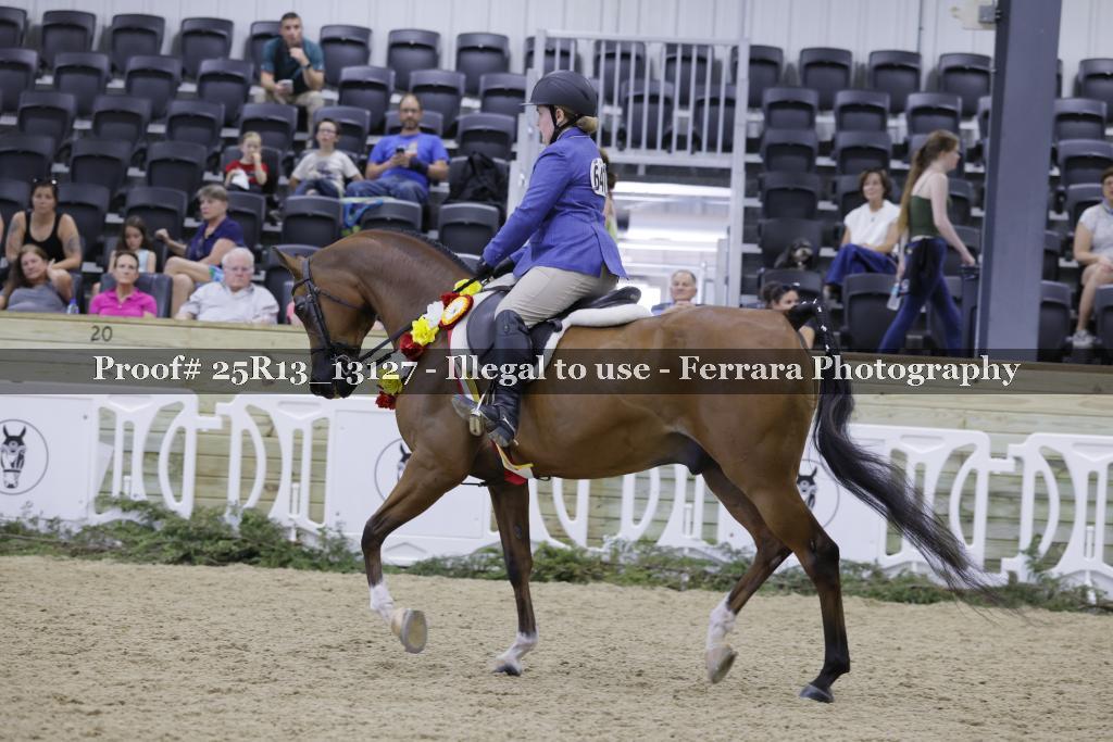 Proof 25R13_13127