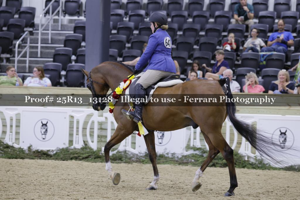 Proof 25R13_13128