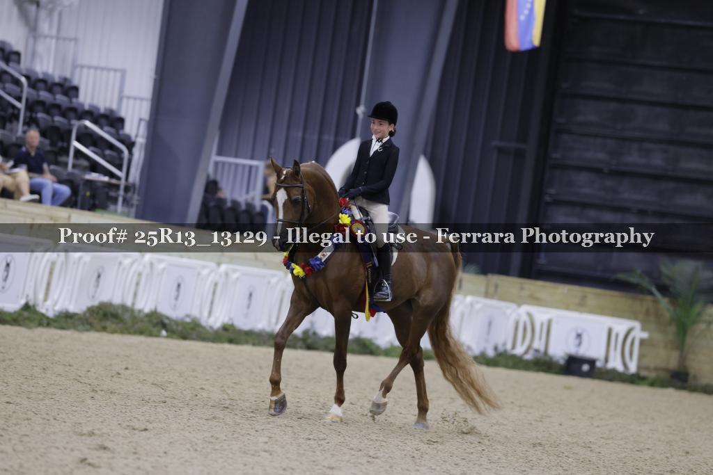 Proof 25R13_13129