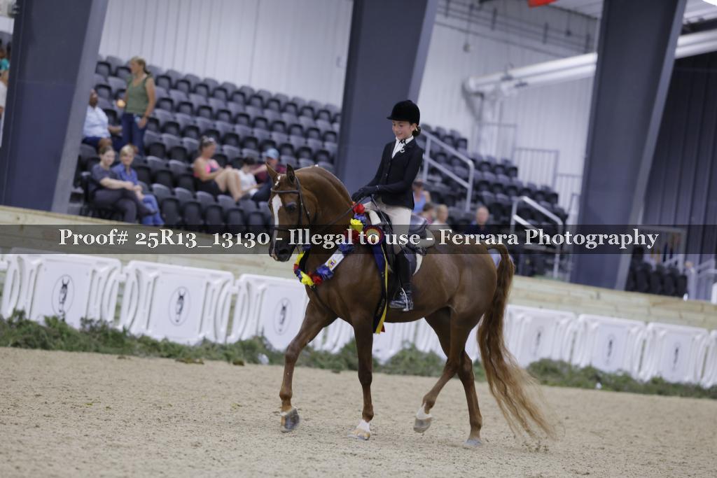 Proof 25R13_13130
