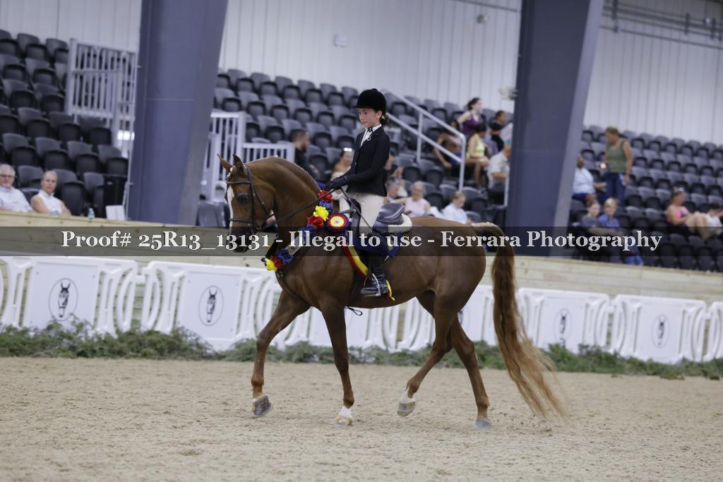 Proof 25R13_13131