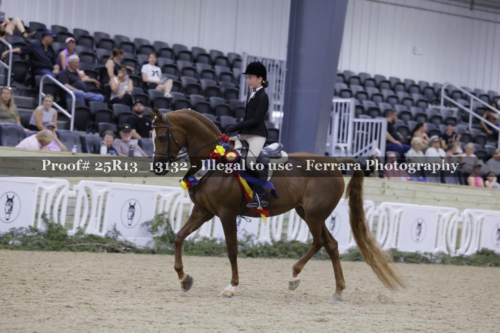 Proof 25R13_13132