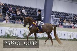 25R13_13132 proof
