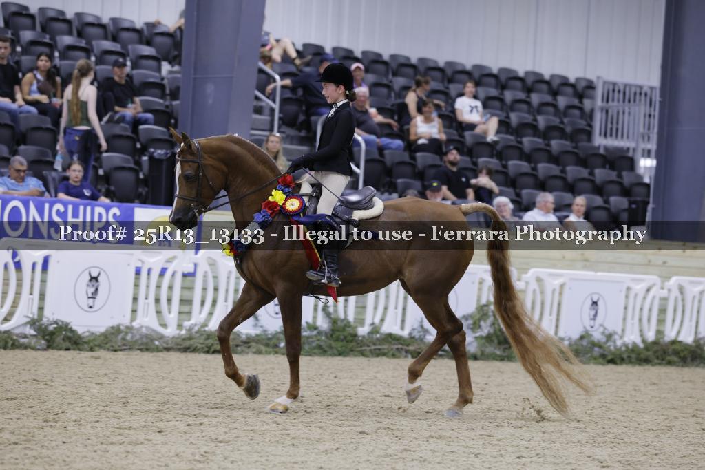 Proof 25R13_13133