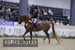 25R13_13133 proof