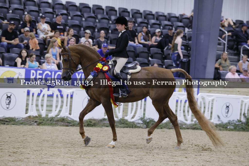 Proof 25R13_13134