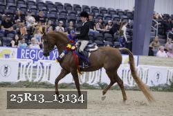 25R13_13134 proof